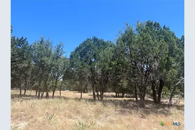 219 County Road 4360, Lampasas, TX 76550 - Photo 3