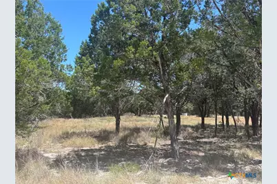 219 County Road 4360, Lampasas, TX 76550 - Photo 1