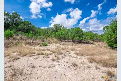 646 Appaloosa Drive, Fischer, TX 78623 - Photo 29