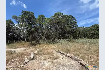 270 Delanoy Drive, Canyon Lake, TX 78133 - Photo 33