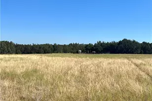 1048 Co Rd 426, Purmela, TX 76566 - Photo 25