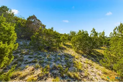 514 Canyon Rock Drive, Spring Branch, TX 78070 - Photo 25
