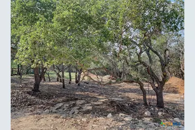 1131 Yaupon Drive, Fischer, TX 78623 - Photo 35