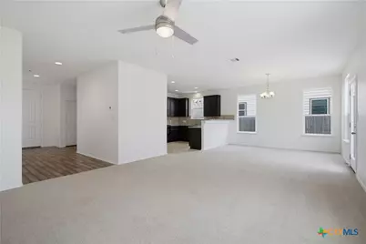 161 Cushman Drive, Kyle, TX 78640 - Photo 3