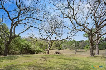 1250 Darst Creek Lane, Seguin, TX 78155 - Photo 5
