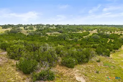 195 Lilly Belle Way, Johnson City, TX 78636 - Photo 21