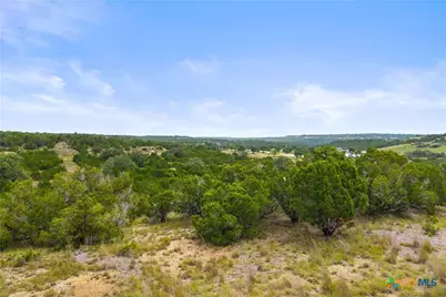 195 Lilly Belle Way, Johnson City, TX 78636 - Photo 5