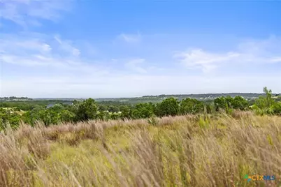 195 Lilly Belle Way, Johnson City, TX 78636 - Photo 9