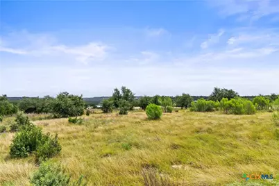 195 Lilly Belle Way, Johnson City, TX 78636 - Photo 7