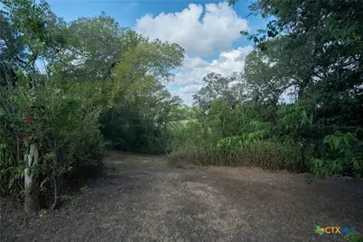 4291 County Road 429, Lolita, TX 77971 - Photo 15