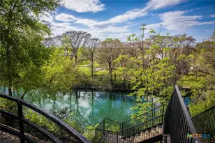 920 Gruene Spring, New Braunfels, TX 78130 - Photo 43