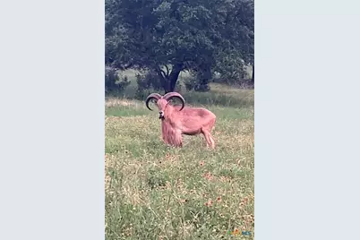 [Address not provided], Florence, TX 76527 - Photo 43