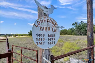Tbd Lonesome Bird Ln, Burnet, TX 78611 - Photo 3