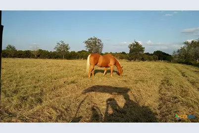 263 Krams Creek Road, Seguin, TX 78155 - Photo 7