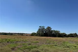 15365 FM 20, Kingsbury, TX 78638 - Photo 11