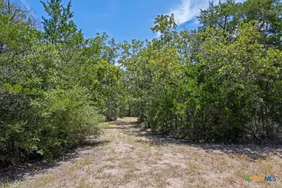 3750 Fm 2237, Flatonia, TX 78941 - Photo 5