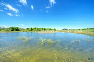 4201 Co Rd 463, Elgin, TX 78621 - Photo 33