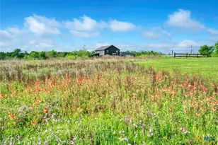 4201 Co Rd 463, Elgin, TX 78621 - Photo 3