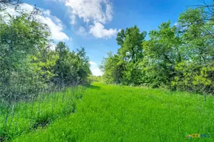 4201 Co Rd 463, Elgin, TX 78621 - Photo 31