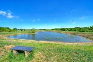 4201 Co Rd 463, Elgin, TX 78621 - Photo 7