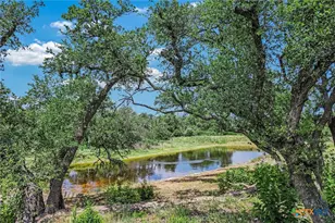 4301 Lone Man Mountain Rd, Wimberley, TX 78676 - Photo 29