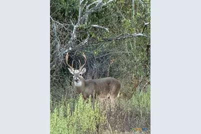 000 County Road 322, Shiner, TX 77984 - Photo 1