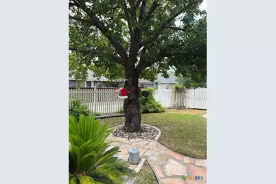528 Jo Lynn Lane, New Braunfels, TX 78130 - Photo 11