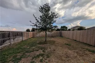 310 Creekside Curve, New Braunfels, TX 78130 - Photo 25