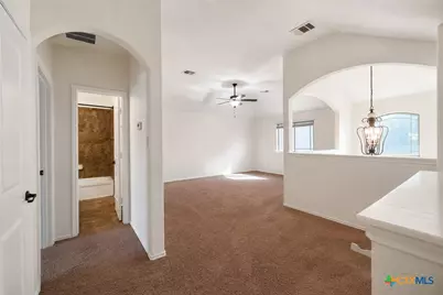 250 Posey Pass, New Braunfels, TX 78132 - Photo 15