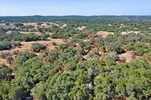 Tbd Cr 105, Other, TX 76550 - Photo 31