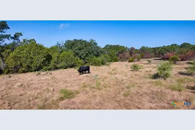 Tbd Cr 105, Other, TX 76550 - Photo 19