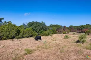 Tbd Cr 105, Other, TX 76550 - Photo 19