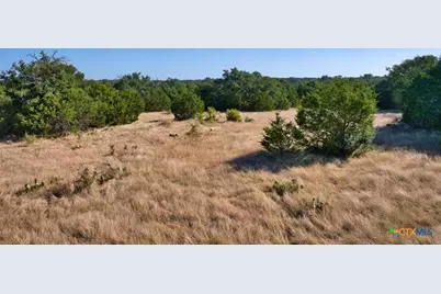 Tbd Cr 105, Other, TX 76550 - Photo 21