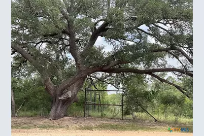 17377 Hwy 87, Nursery, TX 77976 - Photo 5