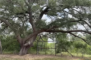 17377 Hwy 87, Nursery, TX 77976 - Photo 5