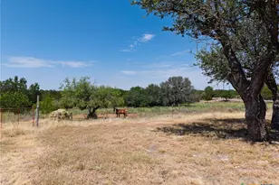 3322 County Rd 1020, Lampasas, TX 76550 - Photo 29