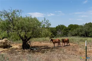 3322 County Rd 1020, Lampasas, TX 76550 - Photo 31