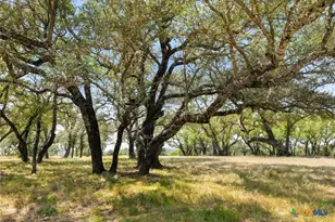 [Address not provided], Marble Falls, TX 78654 - Photo 19