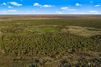 000 Fm 239, Tivoli, TX 77990 - Photo 23