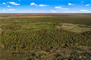 000 Fm 239, Tivoli, TX 77990 - Photo 23