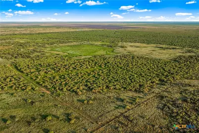 000 Fm 239, Tivoli, TX 77990 - Photo 27