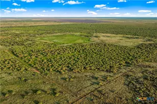 000 Fm 239, Tivoli, TX 77990 - Photo 27