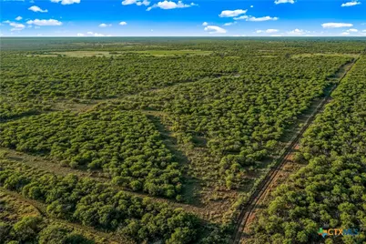 000 Fm 239, Tivoli, TX 77990 - Photo 29