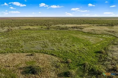 000 Fm 239, Tivoli, TX 77990 - Photo 5