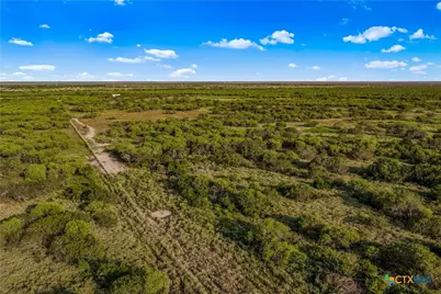 000 Fm 239, Tivoli, TX 77990 - Photo 9