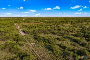 000 Fm 239, Tivoli, TX 77990 - Photo 9