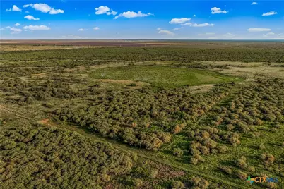 000 Fm 239, Tivoli, TX 77990 - Photo 7
