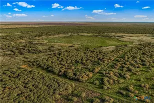 000 Fm 239, Tivoli, TX 77990 - Photo 7