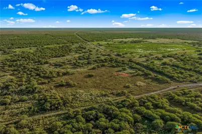 000 Fm 239, Tivoli, TX 77990 - Photo 13