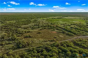000 Fm 239, Tivoli, TX 77990 - Photo 13